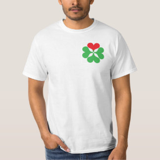 T-shirt aimez les Irlandais !