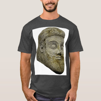T-shirt al art. 1