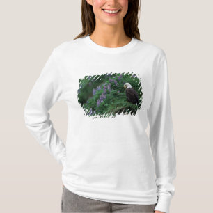 T-shirt Alaska, île Unalaska Aigle royal parmi Nootka