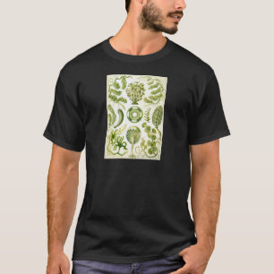 T-shirt Algue et algues de Siphoneae d'Ernst Haeckel