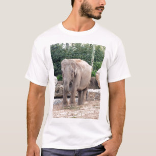 T-shirt Alimentation d'éléphants indiens