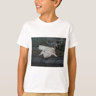 T-shirt alligator blanc