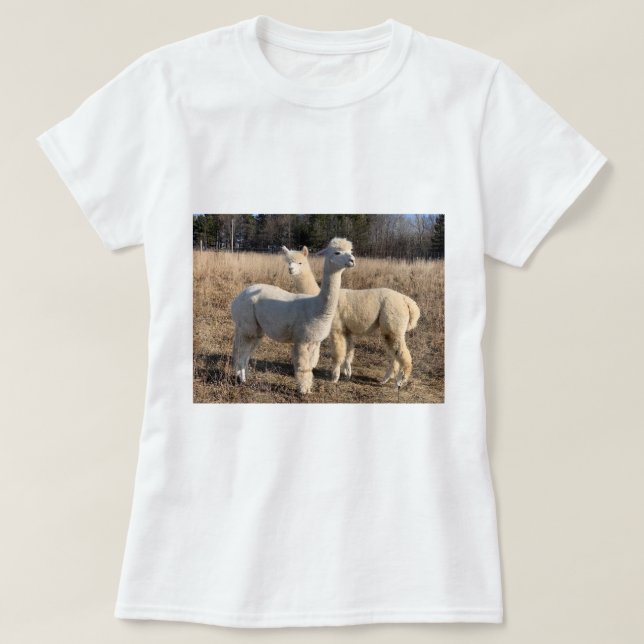 T-Shirt - Alpacas Abby & Bailey (Design devant)