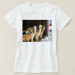 T-shirt - Alpacas au soleil d'hiver