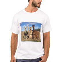 T-Shirt - Alpacas Phaethon, orge et Marvin