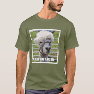 T-shirt Alpaga contrarié