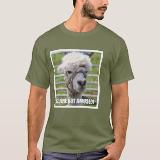 T-shirt Alpaga contrarié