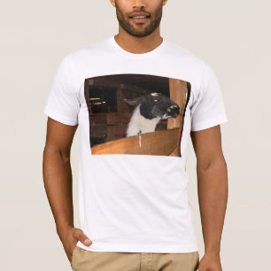 T-shirt Alpaga pas un lama