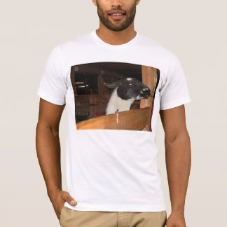 T-shirt Alpaga pas un lama