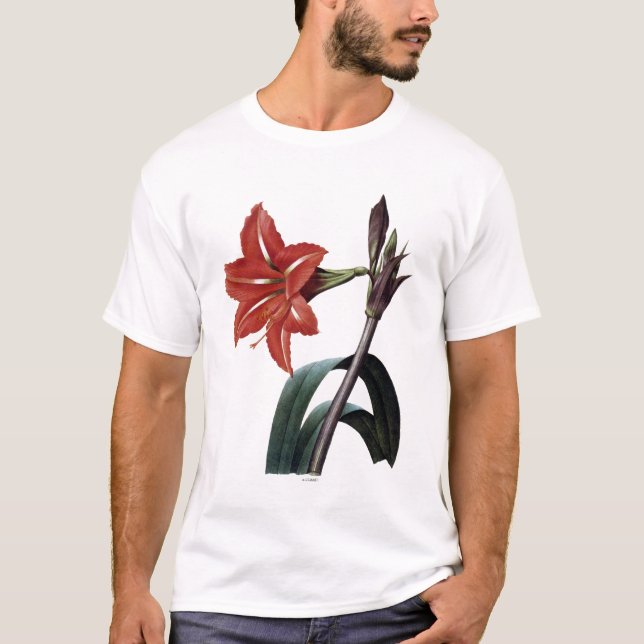 T-shirt Amaryllis barrée (Devant)