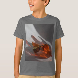 T-shirt Amber Grey Kid's Basic Short Sleeve