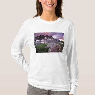 T-shirt Amérique du Nord, Canada, Alberta, Jasper
