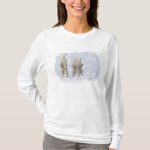 T-shirt Amérique du Nord, Canada, Manitoba, Churchill. 5