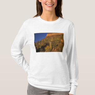 T-shirt Amérique du Nord, États-Unis, Arizona, Organ Pipe