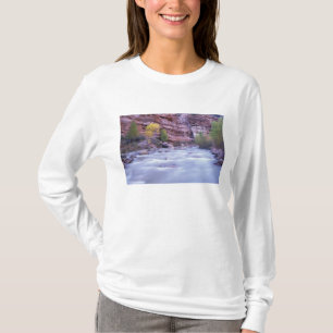 T-shirt Amérique du Nord, États-Unis, Utah, Parc national