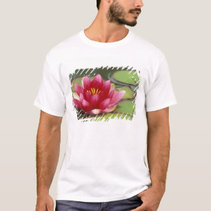 T-shirt Amérique du Nord, États-Unis, WA, Seattle, Woodlan