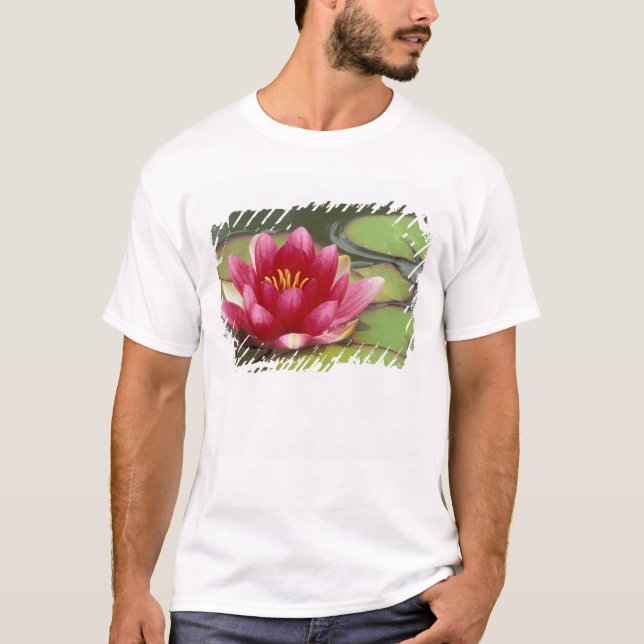 T-shirt Amérique du Nord, États-Unis, WA, Seattle, Woodlan (Devant)