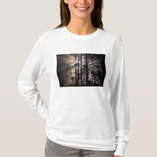 T-shirt Amérique du Nord, États-Unis, Washington, Olympic