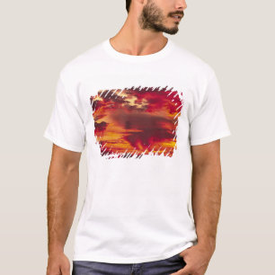T-shirt Amérique du Nord, États-Unis, Washington, Seattle.