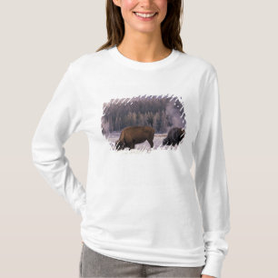 T-shirt Amérique du Nord, États-Unis, Wyoming, Parc nation