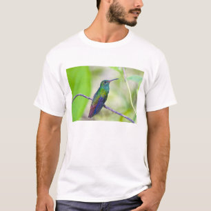 T-shirt Amérique du Sud, Costa Rica, Sarapiqui, La Selva