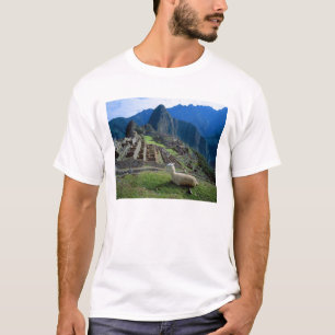 T-shirt Amérique du Sud, Pérou. Un lama repose sur une col