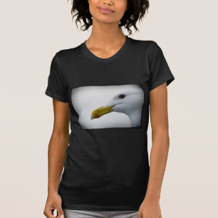 T-shirt Amical Seagull ?