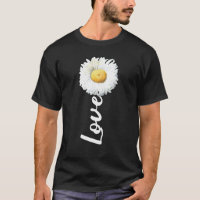 Amour Marguerite Jardin Jardinier Plantes Fleurs G