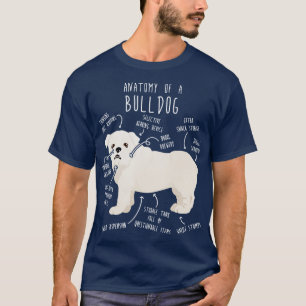 T-shirt Anatomie du chien blanc de taureau anglais