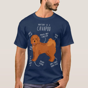 T-shirt Anatomie du chien de Cavapoo