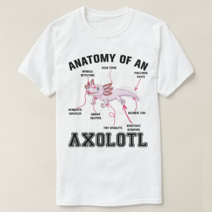 T-shirt Anatomie D'Un Axolotl Biologie Science