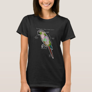 T-shirt Anatomie D'Une Joue Verte Conure Drôle Perroquet