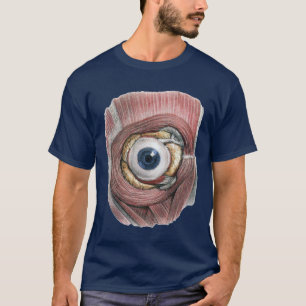 T-shirt Anatomie humaine vintage, globe oculaire avec des 