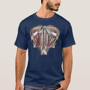 T-shirt Anatomie humaine vintage Science, yeux globulaires