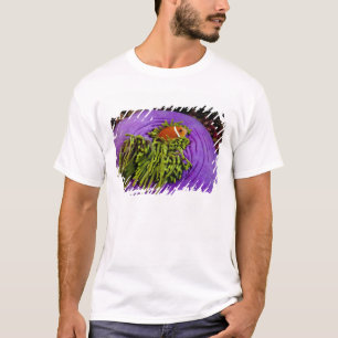 T-shirt Anemonefish et grande anémone