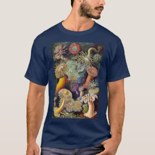 T-shirt Anémones de mer, Actiniae vintage par Ernst Haecke