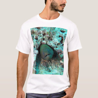 T-shirt Anguille de Moray aux Fidji