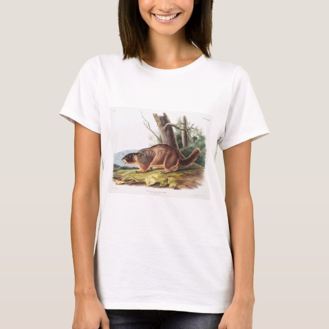 T-shirt Animaux de marmottes à ventre jaune (Devant)