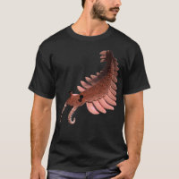 Anomalocaris créature de la période cambrienne
