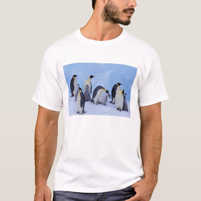 T-shirt Antarctique, Emporer Penguins (Devant)