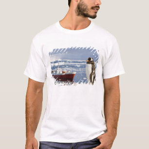 T-shirt Antarctique, Neko Cove (port). Manchot papou