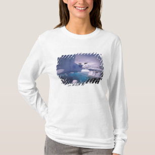 T-shirt Antarctique. Paysages glaciaires antarctiques 2