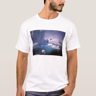 T-shirt Antarctique. Paysages glaciaires antarctiques 2