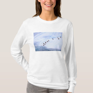 T-shirt Antarctique, péninsule Antarctique. Gorfous