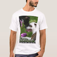 ANTI BSL