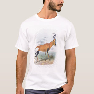 T-shirt Antilope, "du livre des antilopes",