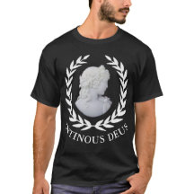 Antinous le Dieu de Rome et le Favori d'Hadrien -