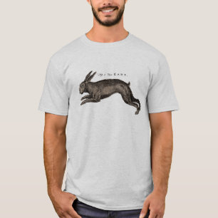 T-shirt Antique Histoire Naturelle Art Le lièvre
