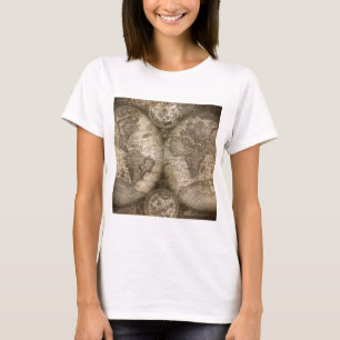T-shirt Antique Historique Ancien Monde Atlas Continents