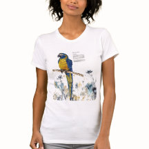 Aquarelle de Macaw en voie de disparition